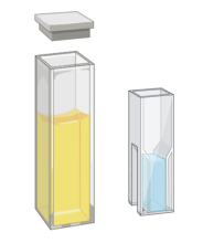 Photophysical Studies
